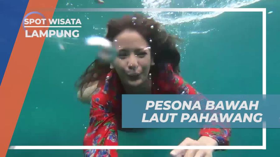 Menyelam dan Menikmati Keindahan Bawah Laut Pahawang, Lampung  