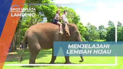 Menyusuri Lembah Hijau dan Menunggangi Gajah di Lampung  