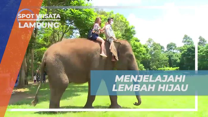 Menyusuri Lembah Hijau dan Menunggangi Gajah di Lampung  