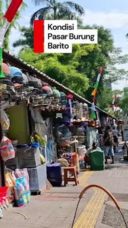 Video: Melihat Kondisi Pasar Burung Barito yang Rencananya Akan Direlokasi