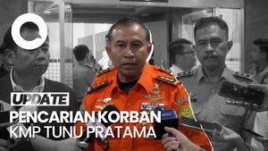 Video: Kabasarnas Tegaskan Pencarian Korban KMP Tunu Pratama Tak Berhenti