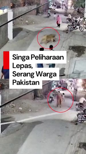 Video: Ngeri! Detik-detik Singa Peliharaan Lepas, Serang Warga di Pakistan