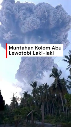 Video Ngerinya Muntahan Kolom Abu Lewotobi Laki-laki dan Efeknya