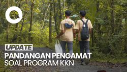 Video: Catatan Pengamat soal Program KKN Perguruan Tinggi Saat Ini