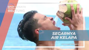 Merasakan Segarnya Air Kelapa di Pantai Belitung Setelah Eksplorasi Goa