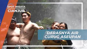 Menikmati Derasnya Air Curug Aseupan dan Merasakan Kesegarannya di Cianjur  