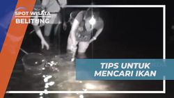Menangkap Udang dengan Cahaya Sorot di Belitung 