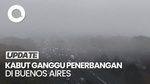 Video: Penerbangan Buenos Aires Alami Penundaan Karena Kabut Tebal