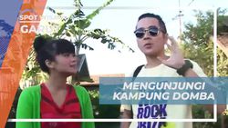 Berwisata ke Kampung Domba dan Menikmati Suasana Pedesaan di Garut  
