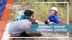 Menyelami Tempat Hidup Kepiting Gotho di Karimun Jawa  