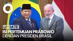 Video: Prabowo Bertemu Presiden Brasil, Bahas Sapi hingga Pertahanan