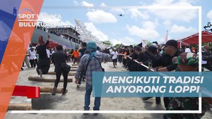 Mengikuti Langsung Tradisi Anyorong Loppi di Bulukumba Bersama Para Selebriti dalam Festival Pinisi  