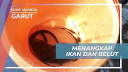 Menangkap Ikan dan Belut dalam Pengalaman Seru di Garut  