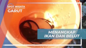 Menangkap Ikan dan Belut dalam Pengalaman Seru di Garut  