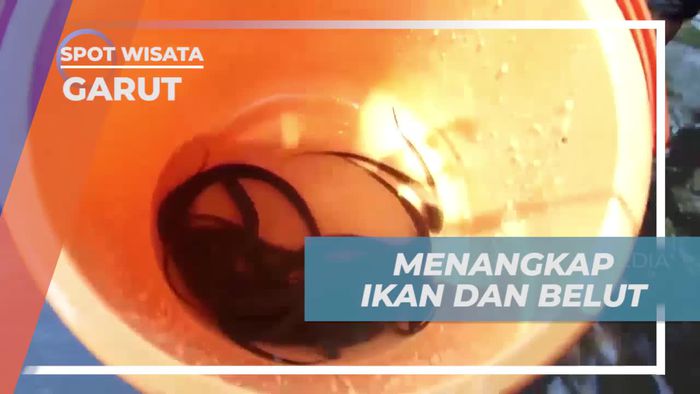 Menangkap Ikan dan Belut dalam Pengalaman Seru di Garut  