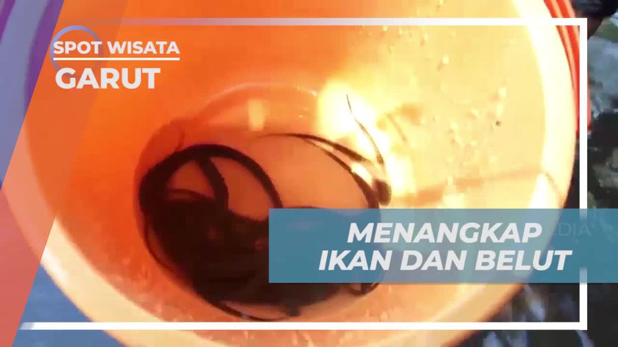 Menangkap Ikan dan Belut dalam Pengalaman Seru di Garut  