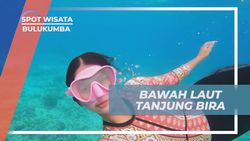 Mengeksplorasi Keindahan Alam Bawah Laut di Tanjung Bira, Bulukumba