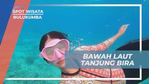 Mengeksplorasi Keindahan Alam Bawah Laut di Tanjung Bira, Bulukumba