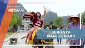 Mengalami Petualangan Naik Kerbau di Hoa Lu, Vietnam Bersama Selebriti  