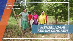 Mengunjungi Kebun Cengkeh dan Belajar Tentang Pertanian di Desa Passo, Bulukumba