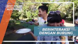 Memberi Makan Burung Lorikeet di Wildlife Currumbin Sanctuary Australia  