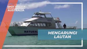 Mengarungi Lautan dengan Cruise untuk Melihat Ikan Paus di Mandurah, Australia  