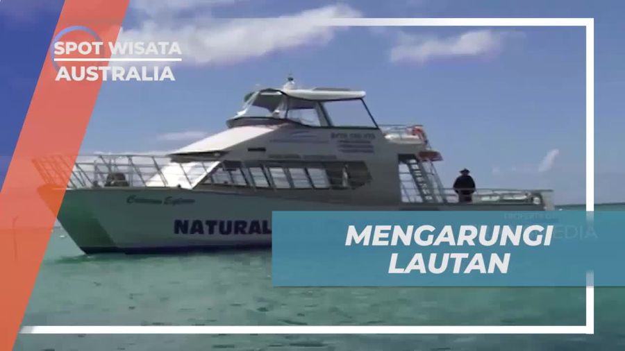 Mengarungi Lautan dengan Cruise untuk Melihat Ikan Paus di Mandurah, Australia  