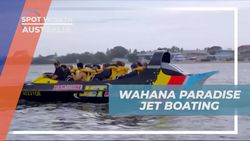 Merasakan Adrenalin dengan Wahana Paradise Jet Boating di Australia  