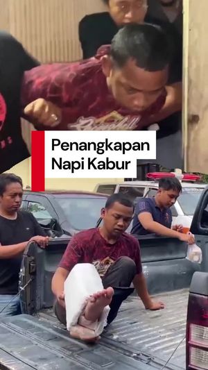 Video: Detik-detik Penangkapan Napi yang Kabur dari Rutan Sinjai Sulsel