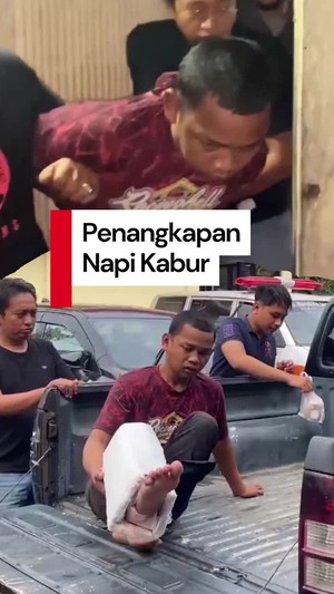 Video: Detik-detik Penangkapan Napi yang Kabur dari Rutan Sinjai Sulsel