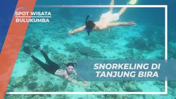 Menyelami Keindahan Bawah Laut Tanjung Bira melalui Snorkeling di Bulukumba