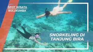 Menyelami Keindahan Bawah Laut Tanjung Bira melalui Snorkeling di Bulukumba
