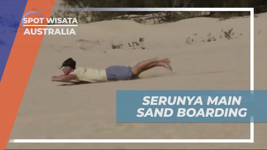 Menikmati Sensasi Sandboarding di Gurun Pasir Tangalooma Island Australia  