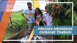 Melakukan Proses Memasak Gurame Timbun dan Menikmati Kelezatannya di Bali  