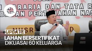 Video Menteri ATR: 48% dari 55,9 Juta Hektar Lahan RI Dimiliki 60 Keluarga
