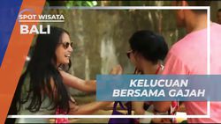 Berinteraksi dan Bermain Seru dengan Gajah di Bali Safari & Marine Park  