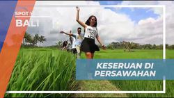 Menyusuri Pematan Sawah dan Menari di Tengah Pemandangan Alam Bali  