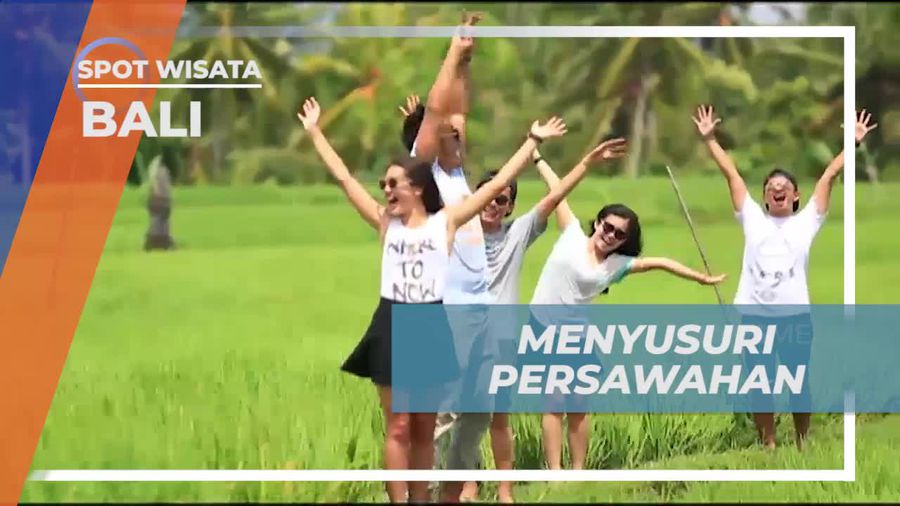 Menyambangi Keindahan Persawahan Ubud Bali