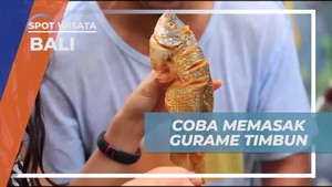 Belajar Memasak Gurame Timbun dan Membuat Bumbu di Bali  