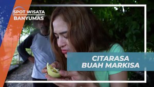 Menikmati Kelezatan Buah Markisa dari Panen Sendiri di Banyumas  