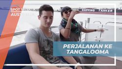 Menyusuri Perjalanan Menuju Tangalooma Island dengan Kapal di Australia  