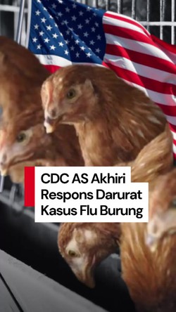 Video: CDC AS Akhiri Respons Darurat Flu Burung H5N1 