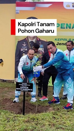 Video: Momen Kapolri Tanam Pohon Gaharu Usai Ikut Riau Bhayangkara Run