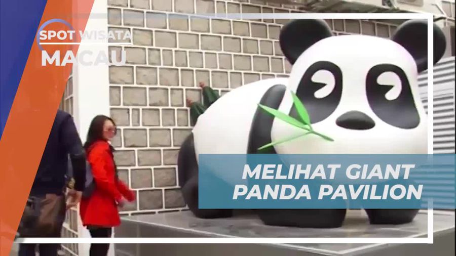 Melihat Kemolekan Panda Lucu di Macau Giant Panda Pavilion  