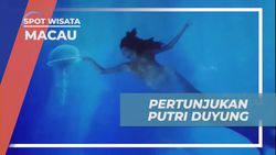 Menikmati Keajaiban Pertunjukan Putri Duyung di City of Dreams Macau  