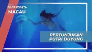 Menikmati Keajaiban Pertunjukan Putri Duyung di City of Dreams Macau  