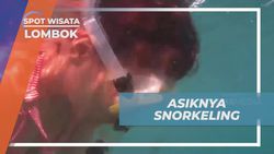 Menikmati Keindahan Bawah Laut Gili Nanggu Saat Snorkeling di Lombok  