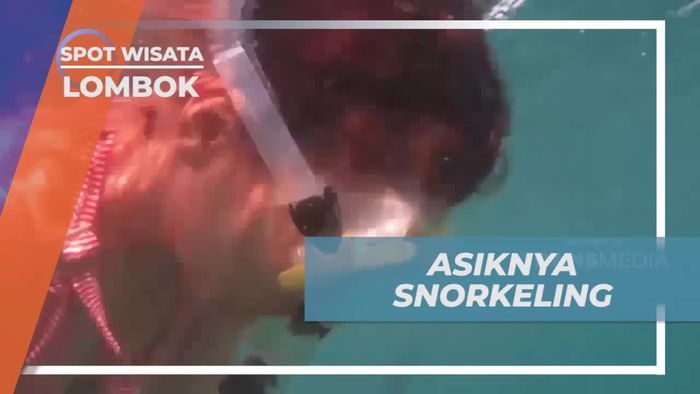 Menikmati Keindahan Bawah Laut Gili Nanggu Saat Snorkeling di Lombok  