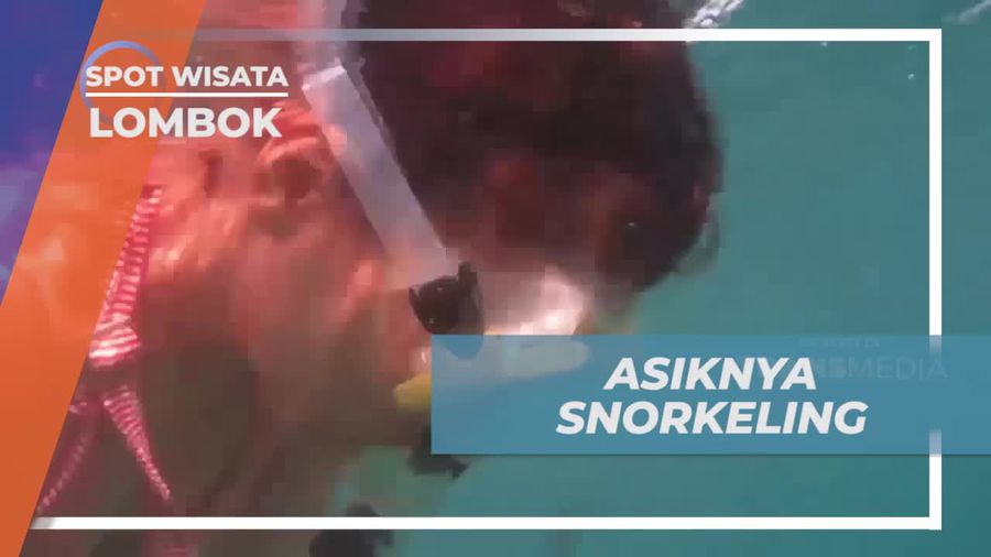 Menikmati Keindahan Bawah Laut Gili Nanggu Saat Snorkeling di Lombok  