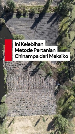 Video Chinampa, Metode Pertanian Zaman Aztek yang Masih Dipakai di Meksiko